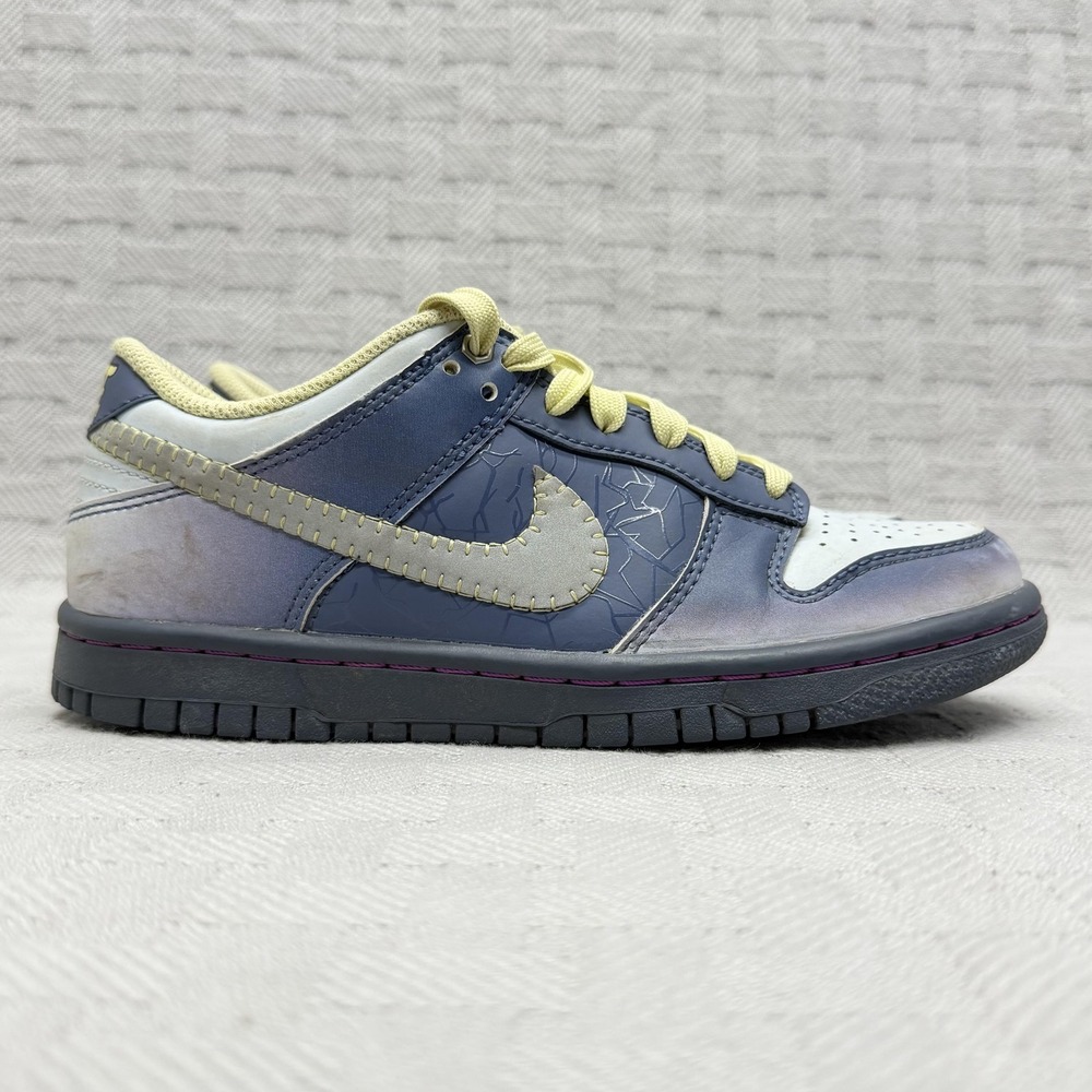 Nike Dunk Low "I am Fearless!" Kids Size 3.5 Blue Low Top Sneakers FQ8354-491